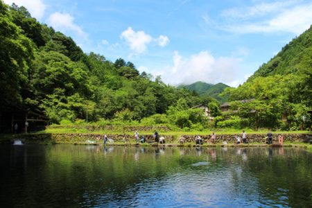 小菅トラウトガーデン 釣果