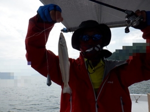 遊漁船 幸友丸 釣果