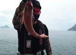 愛裕南丸 釣果