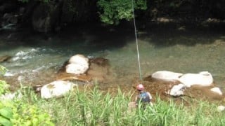 大井川(大井川(非)漁業協同組合) 釣果