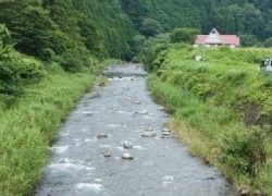 大井川(大井川(非)漁業協同組合) 釣果