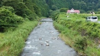 大井川(大井川(非)漁業協同組合) 釣果