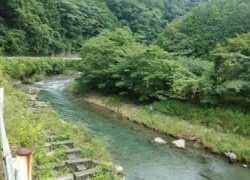 大井川(大井川(非)漁業協同組合) 釣果