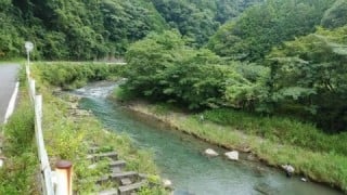 大井川(大井川(非)漁業協同組合) 釣果