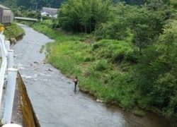 大井川(大井川(非)漁業協同組合) 釣果