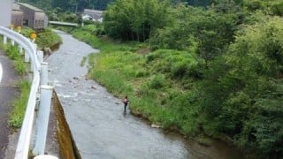 大井川(大井川(非)漁業協同組合) 釣果
