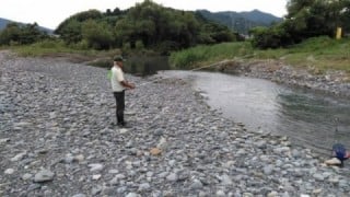 大井川(大井川(非)漁業協同組合) 釣果