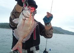 愛裕南丸 釣果