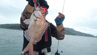 愛裕南丸 釣果
