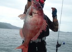 愛裕南丸 釣果