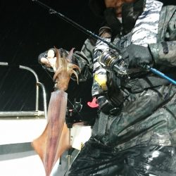 海龍丸（福岡） 釣果