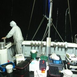 海龍丸（福岡） 釣果