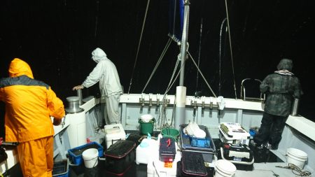 海龍丸（福岡） 釣果