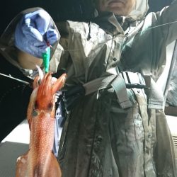 海龍丸（福岡） 釣果