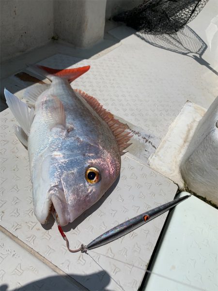 マタウマリンサービス 釣果