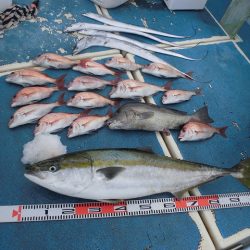 十八宝洋丸 釣果