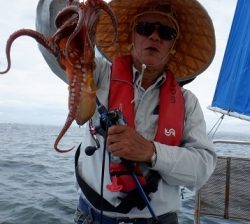 遊漁船 幸友丸 釣果