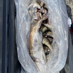 第八平成丸 釣果