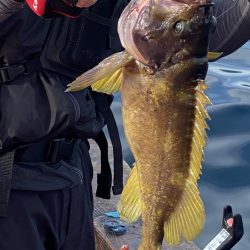 第八平成丸 釣果