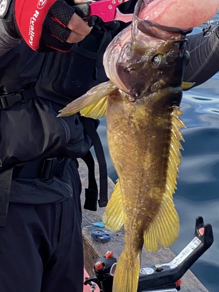 第八平成丸 釣果