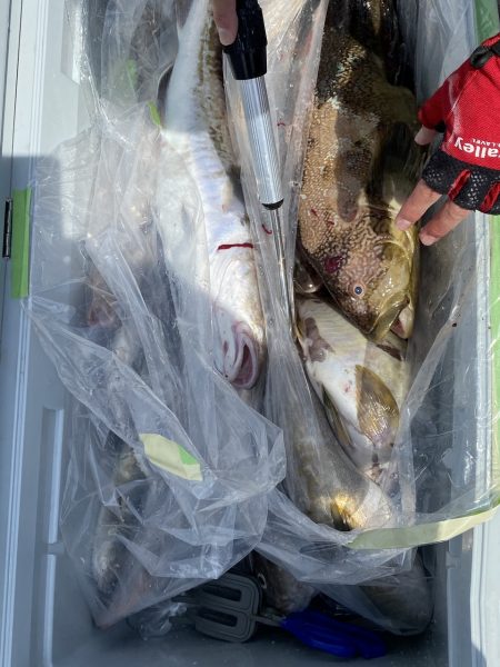 第八平成丸 釣果