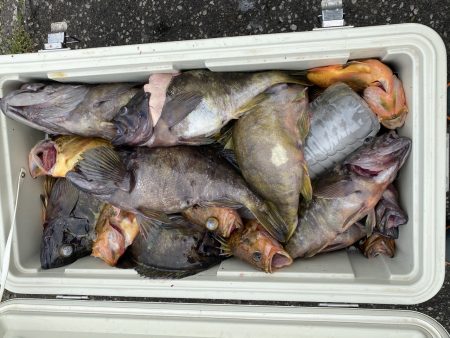 第八平成丸 釣果