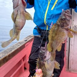 第八平成丸 釣果