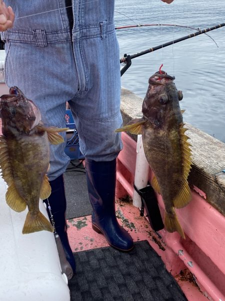 第八平成丸 釣果