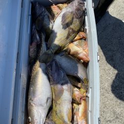 第八平成丸 釣果