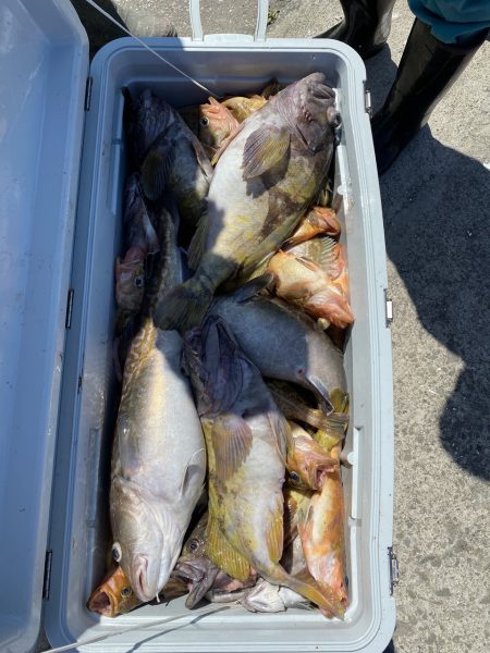 第八平成丸 釣果