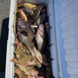 第八平成丸 釣果