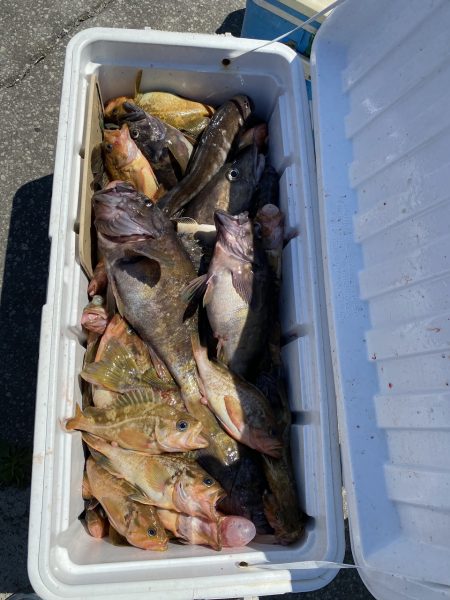 第八平成丸 釣果