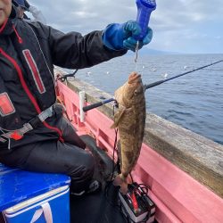 第八平成丸 釣果