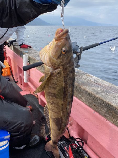 第八平成丸 釣果