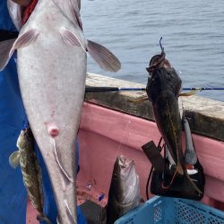 第八平成丸 釣果