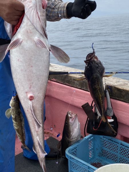 第八平成丸 釣果