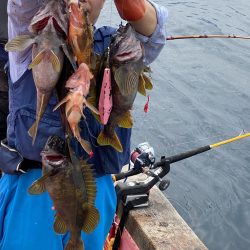第八平成丸 釣果
