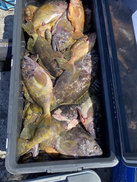 第八平成丸 釣果