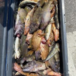 第八平成丸 釣果