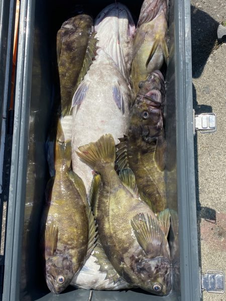 第八平成丸 釣果