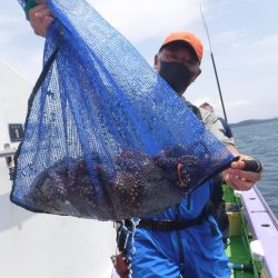 川崎丸 釣果
