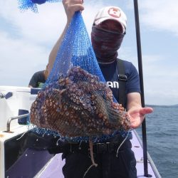 川崎丸 釣果
