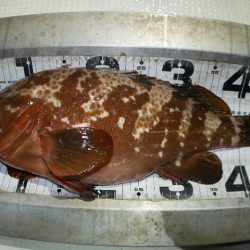 TOPGUN名古屋 釣果