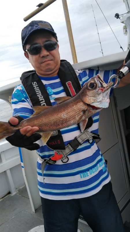 遊漁船 新鋭丸 釣果