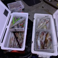 第八大安丸 釣果