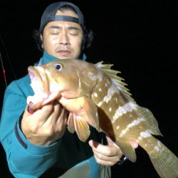 Magic（マジック） 釣果