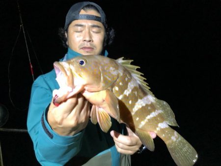 Magic（マジック） 釣果