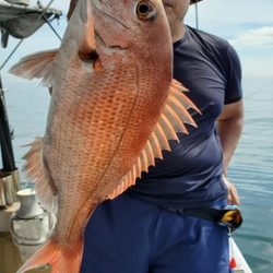 遊漁船 ニライカナイ 釣果
