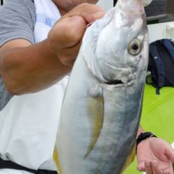 松栄丸 釣果