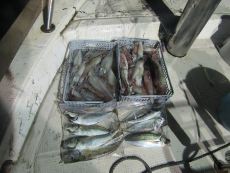 ジギング船 BLUEWATER 釣果